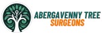 Abergavenny Tree Surgeon
