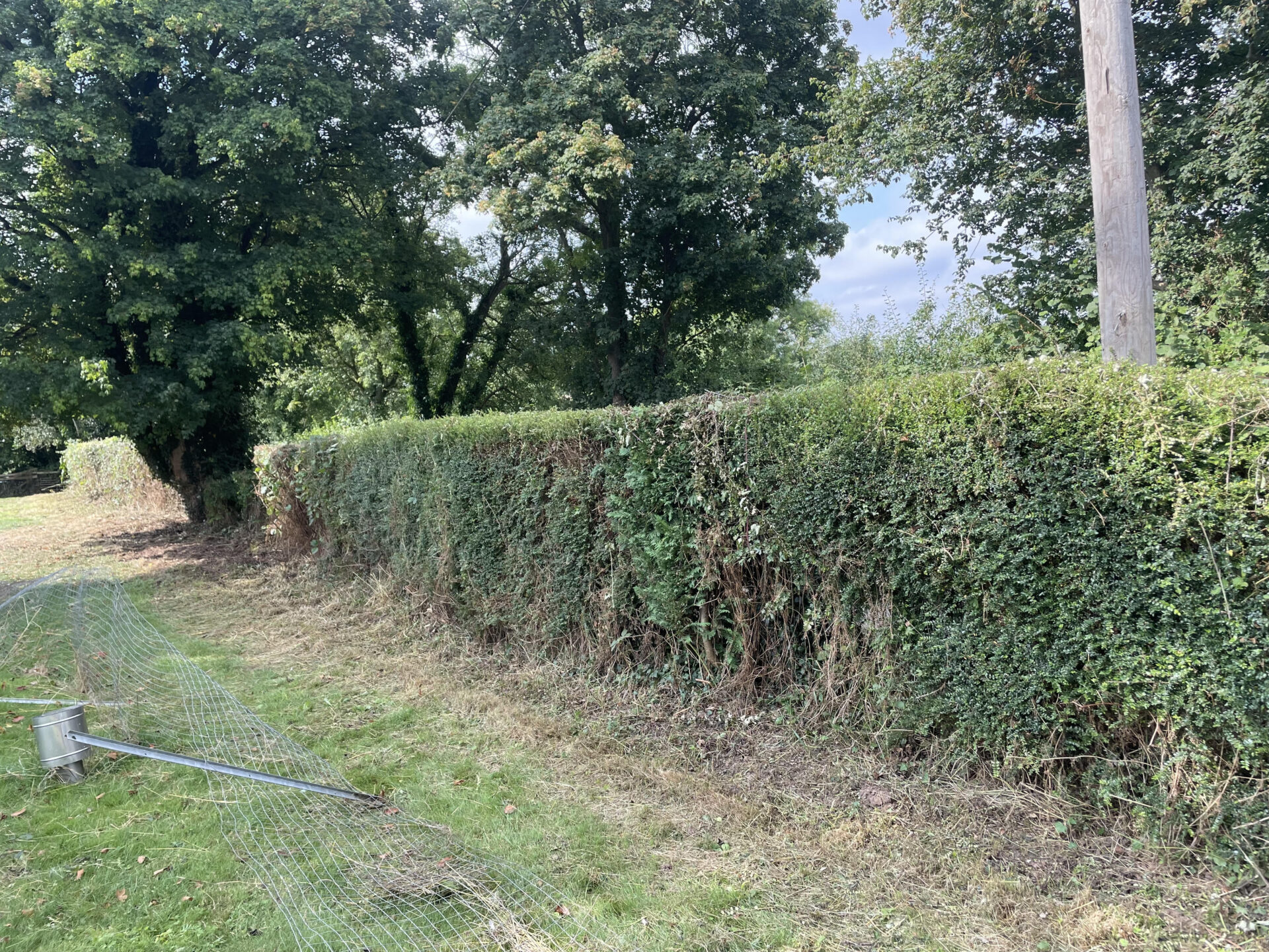 hedge-cutting-hereford